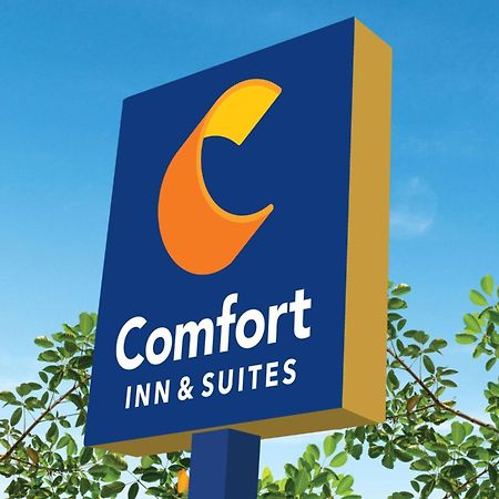 יוסטון Comfort Inn & Suites מראה חיצוני תמונה