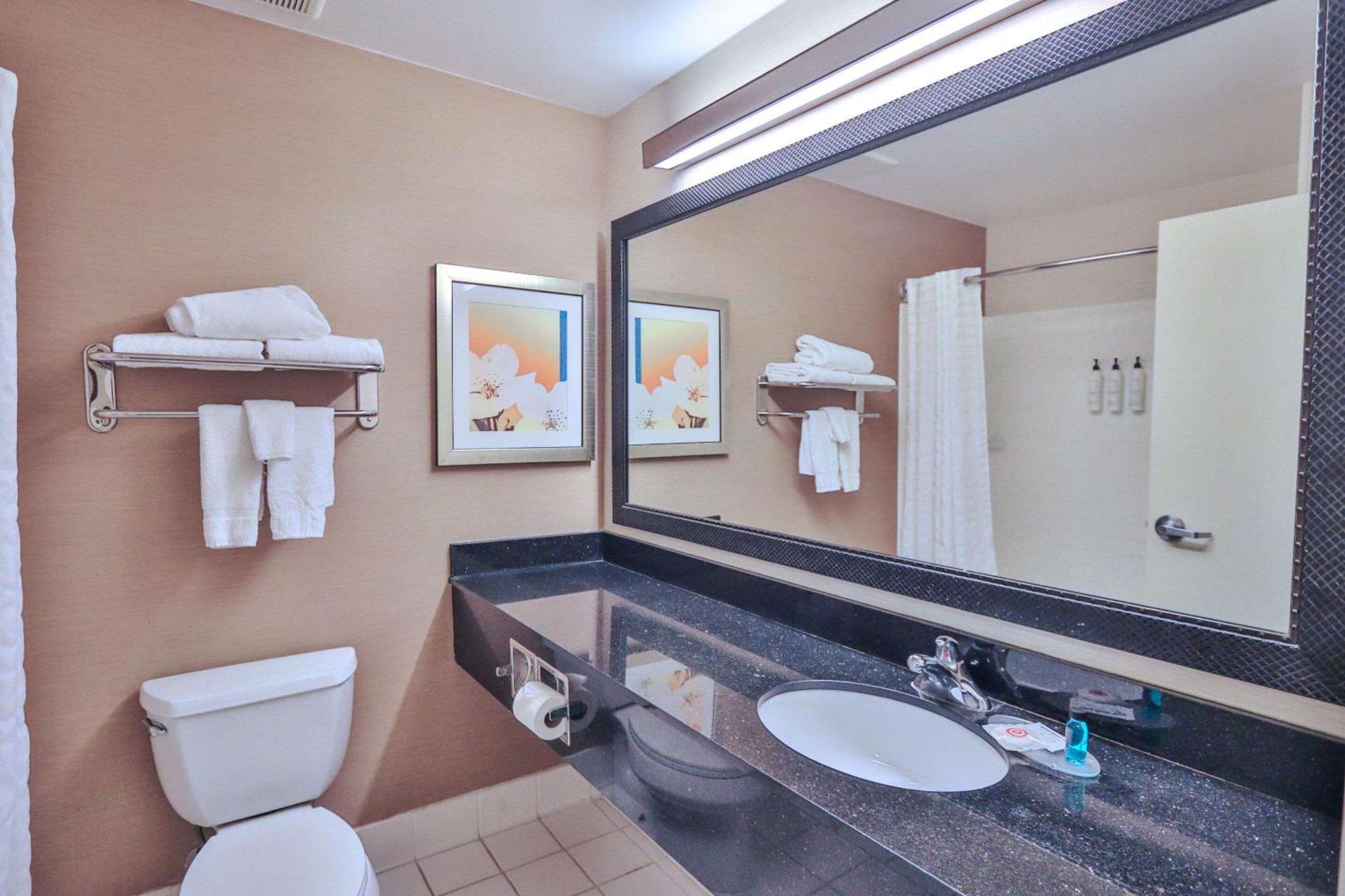 Westfield Comfort Inn & Suites מראה חיצוני תמונה