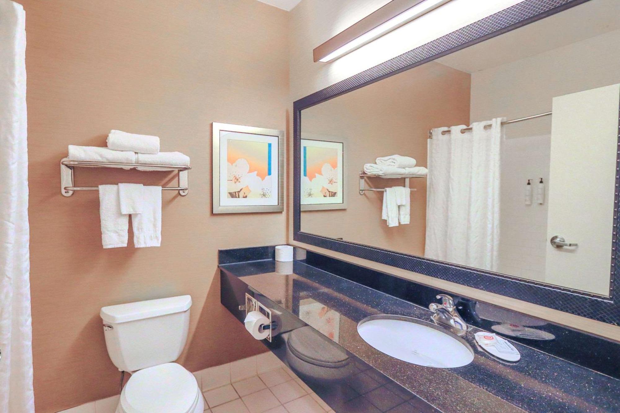Westfield Comfort Inn & Suites מראה חיצוני תמונה